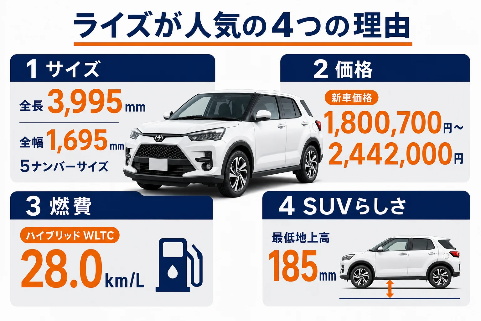 ライズが人気の理由を4つの数字でまとめた図解